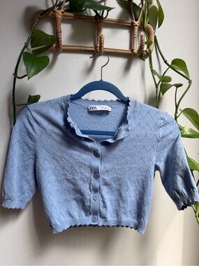 Zara Light Blue Scalloped Cropped Button-Down Top